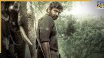 Kaattaan, Kaattaan OTT Release