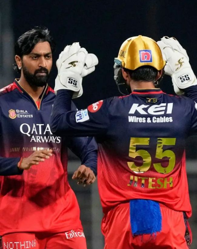 फिनिशर के तौर पर चुने दो तगड़े खिलाड़ी