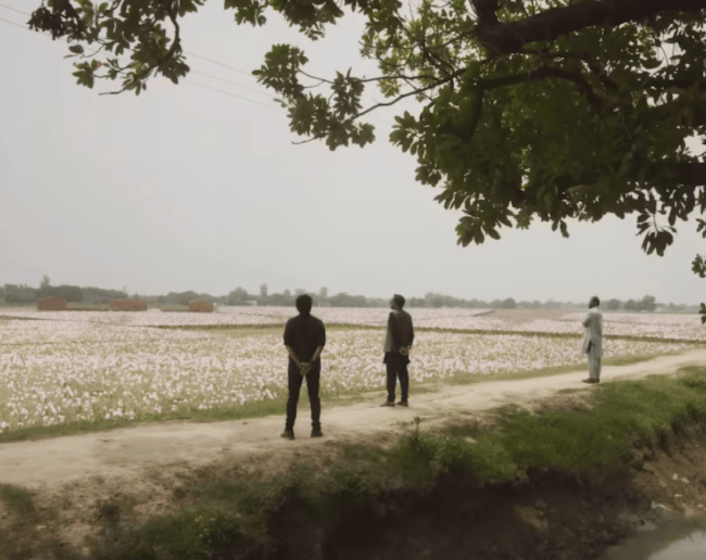 मिर्जापुर सीरीज सीजन 1