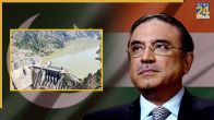 asif ali zardari
