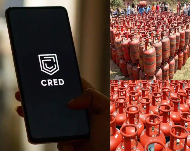 CRED ऐप पर गैस सिलेंडर ऐसे बुक करें? 