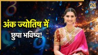 Ank-Jyotish-Prediction