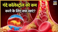 Foods For Bad Cholesterol