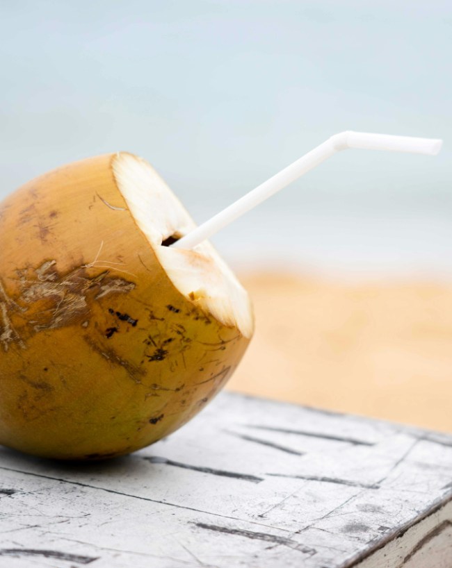 नारियल पानी (Coconut Water)