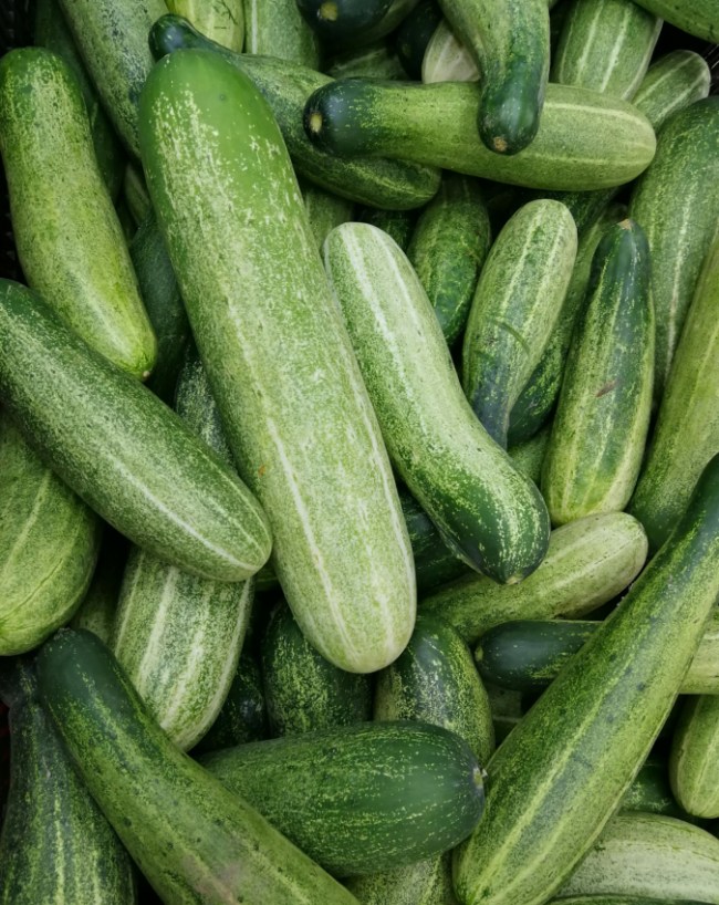 खीरा (Cucumber)