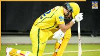 Dewald Brevis Return