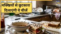 Flies Home Remedies