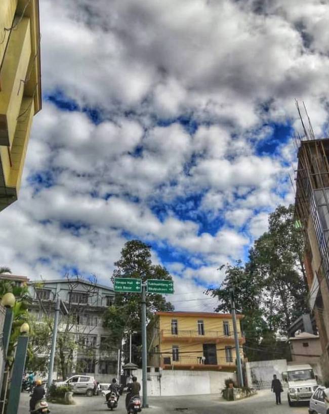बिना हॉर्न के कैसे चलती हैं गाड़ियां?