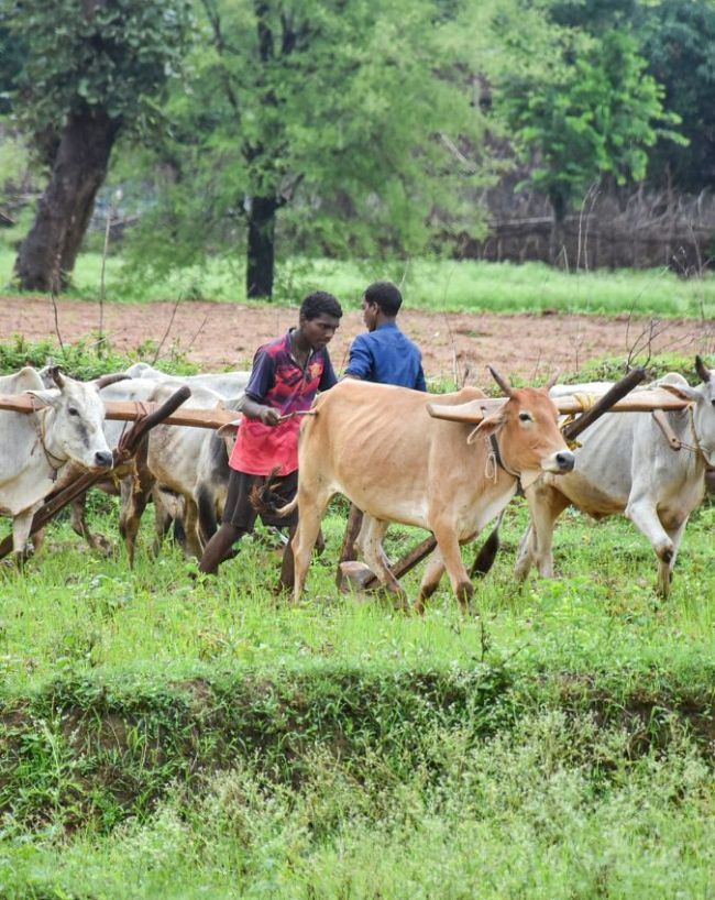 मानसून की जल्दी एंट्री क्यों