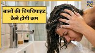 Oily Hair Care