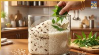 Rice Weevil Removal Home Remedy
