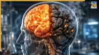 Smoking Effects On Brain