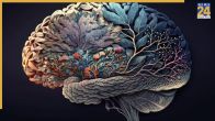 Habits To Quickly Aging Brain