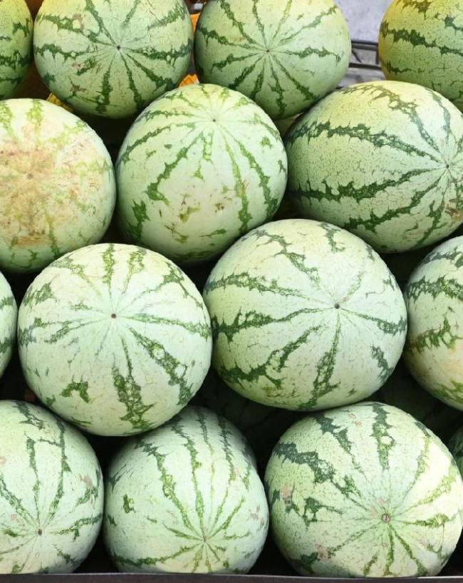 खाने के शौकीनों के लिए क्या है खास?