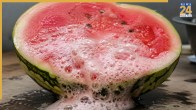 White Foam in Watermelon