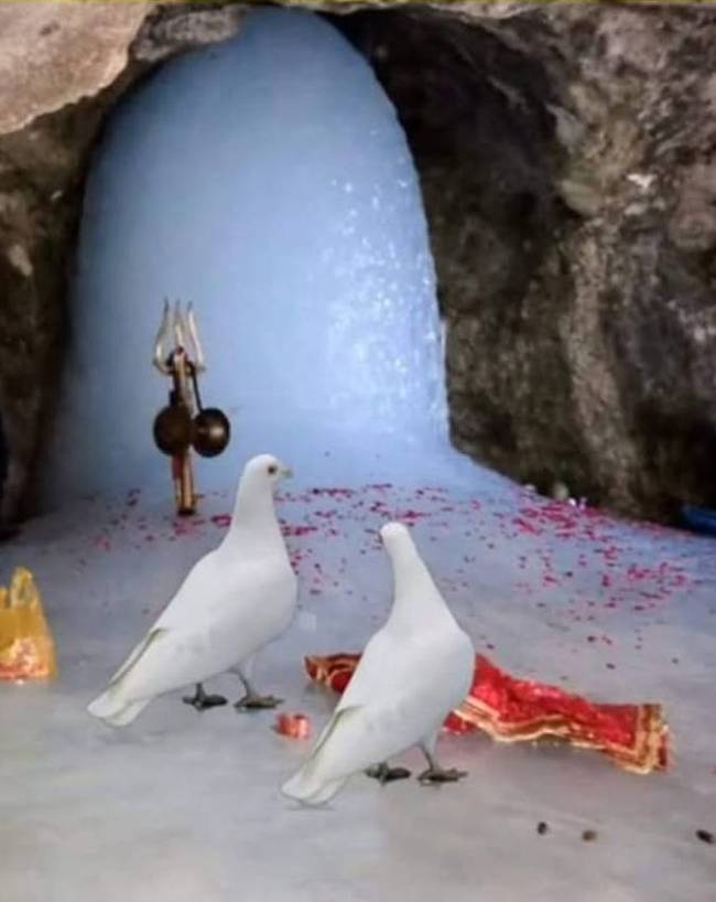 अमरनाथ गुफा के कबूतर का रहस्य