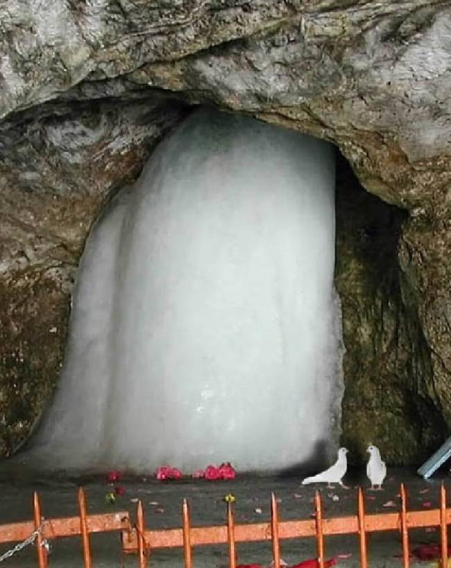 कबूतरों का जोड़ा क्यों है खास