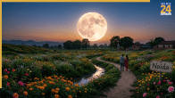 Flower Moon 2026, Full Moon Date, Flower Moon Significance, May Full Moon, Astronomical Event