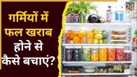 fruit storage tips.jpg
