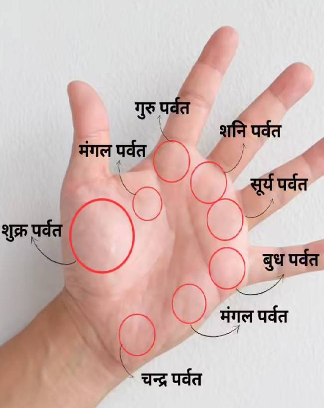 हथेली पर धन योग