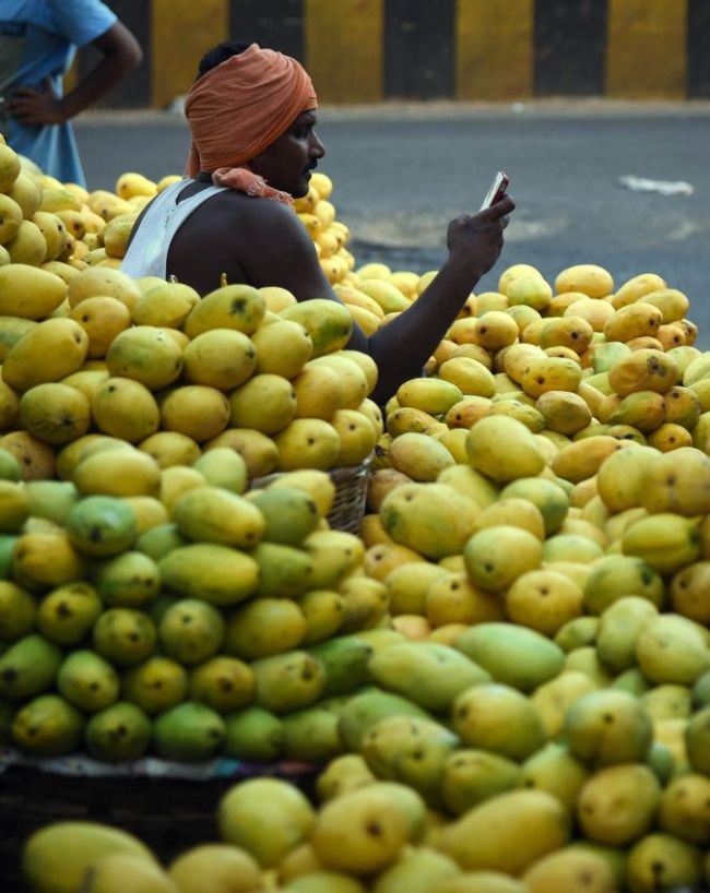 बेमौसम बारिश की मार