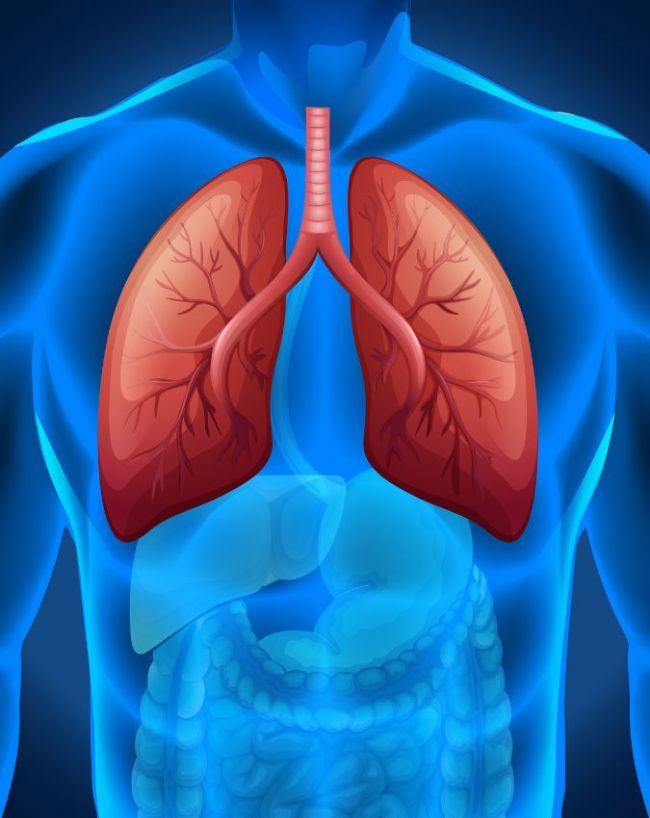 क्रोनिक ऑब्सट्रक्टिव पल्मोनरी डिजीज (COPD) 