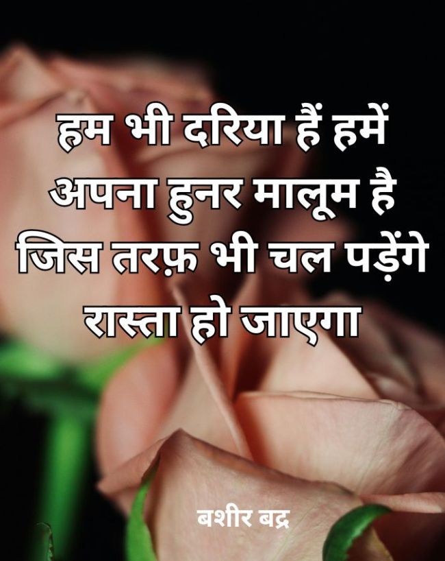 हम भी दरिया हैं... 