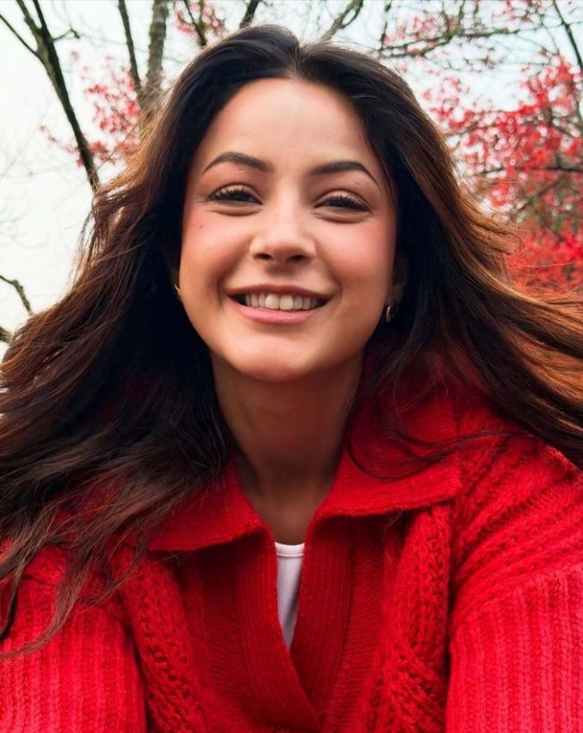 शहनाज का नया प्यार