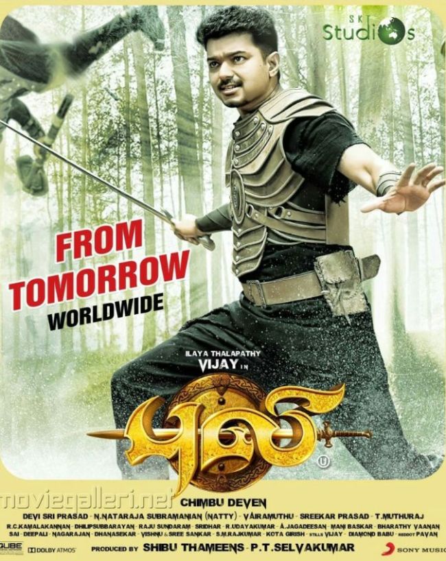 Puli