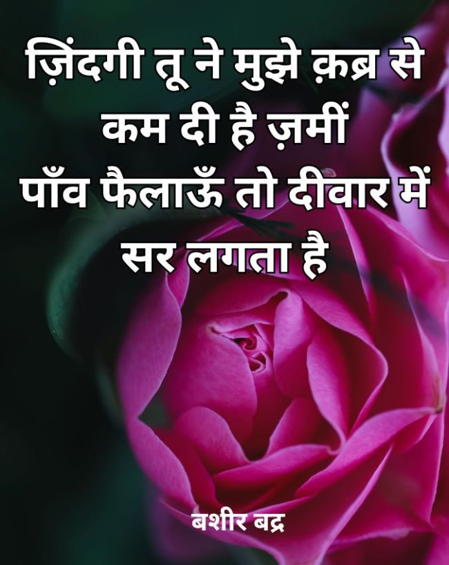 ज़िंदगी तू ने मुझे... 