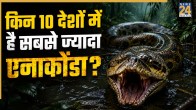 Highest Anaconda Population Countries: