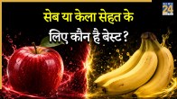 Which Fruit Is Better Apple Or Banana