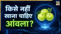 Who Should Avoid Amla