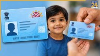 Blue Aadhaar Card