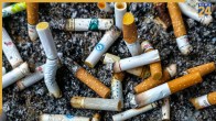 Cigarette Death Toll Per Year 2026