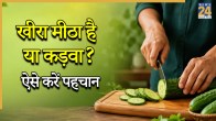 How To Identify Sweet Cucumber