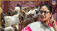 bakrid delhi new guidelines