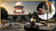 Supreme Court Stray Dogs