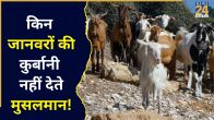 Bakra Eid Qurbani Rules