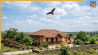 Eagle Auspicious and Inauspicious signs