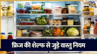Fridge Shelf