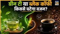 Green tea vs black coffee