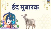 Eid ul adha 2026 wishes quotes