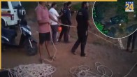Raigad Road Accident