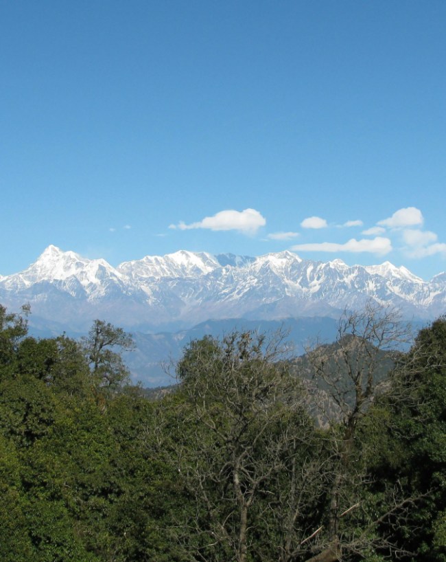 बिनसर 