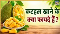 Benefits Of Eating Jackfruit