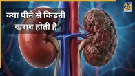 Foods That Damage Kidney