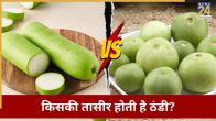Vegetable For Dehydration