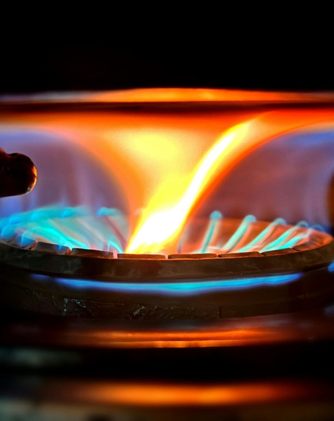 भारत में घरेलू LPG सिलेंडर की इतनी है कीमत