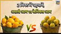Safe Mango Buying Tips